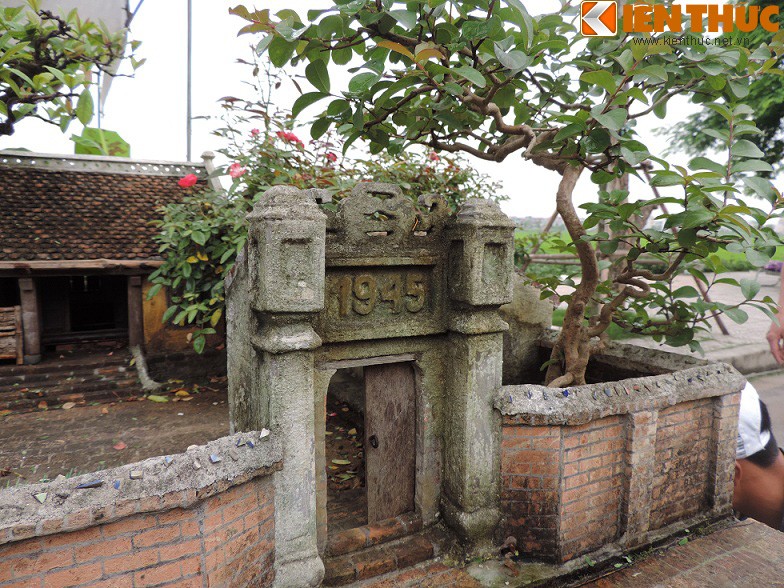 Tieu canh tu bonsai dep me hon cua nghe nhan Hai Phong-Hinh-10